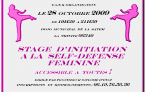 TASK ORGANISATION STAGE DE SELF DEFENSE FEMININE 