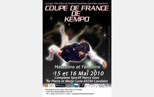 COUPE DE FRANCE FFKDA DE KEMPO 