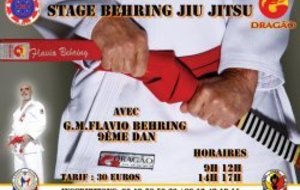 STAGE DE JIU-JITSU AVEC GM FLAVIO BEHRING 9EME DAN