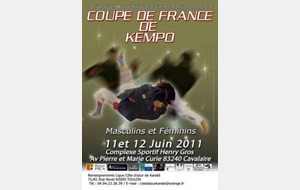 COUPE DE FRANCE DE KEMPO FFKDA 