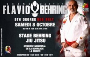 TASKORGANISATION STAGE BEHRING JIU JITSU 