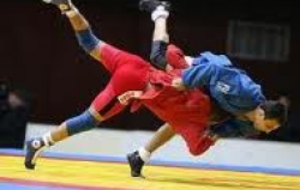 CHAMPIONNAT DE FRANCE DE SAMBO SPORTIF 2012 FFST