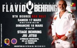 STAGE DIRIGE PAR GM FLAVIO BEHRING 9EME DAN