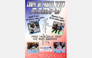 COUPE DE FRANCE 2013 DE KEMPO FFKDA