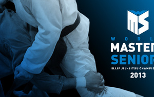 IBJJF WORLD MASTERS AND SENIORS 2013