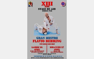 STAGE DIRIGE PAR GM FLAVIO BEHRING 9EME DAN BJJ