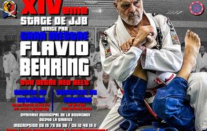 STAGE DIRIGE PAR GRAN MESTRE FLAVIO BEHRING 9EME DAN BJJ