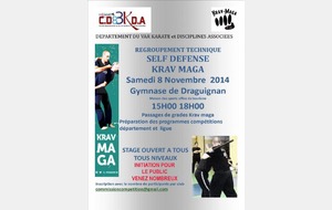 REGROUPEMENT SELF DEFENSE KRAV MAGA FFKDA 