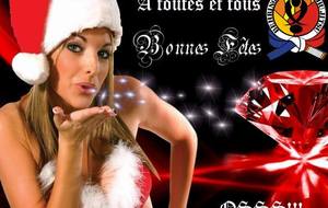 BONNES FETES DE FIN D ANNEE!