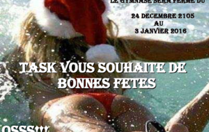 BONNES FETES A TOUTES ET TOUSSS!