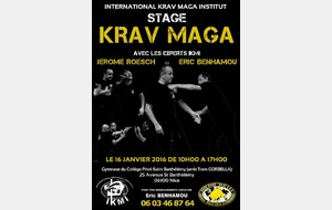 STAGE INTERNATIONAL DE KRAV MAGA IKMI