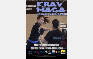 CHAMPIONNAT DE LIGUE KRAV MAGA FFKDA 2016