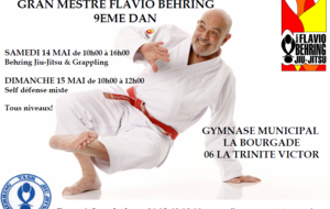 STAGE DE JIU-JITSU DIRIGE PAR LE GM FLAVIO BEHRING