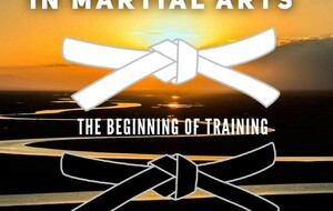 PASSAGES DE GRADES KRAV-MAGA TASK DOJO 2025