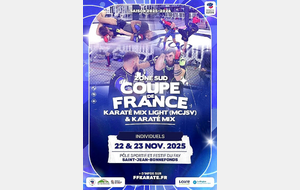 COUPE DE FRANCE KARATE MIX FFK ZONE SUD