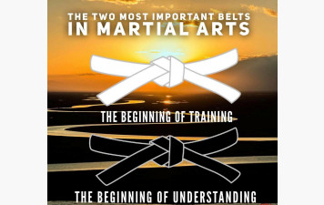 PASSAGES DE GRADES KRAV-MAGA TASK DOJO 2025