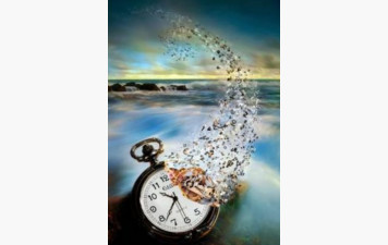 ASSEMBLEE GENERALE TASK DOJO 2025