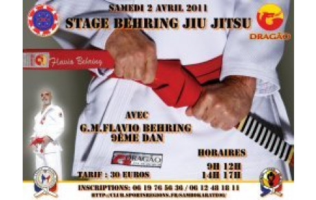 STAGE DE JIU-JITSU AVEC GM FLAVIO BEHRING 9EME DAN