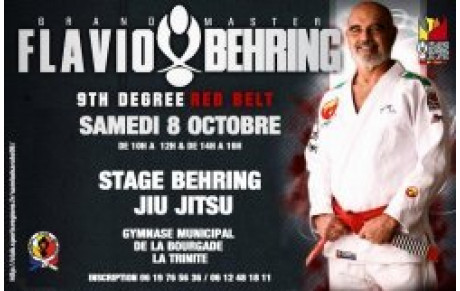 TASKORGANISATION STAGE BEHRING JIU JITSU 