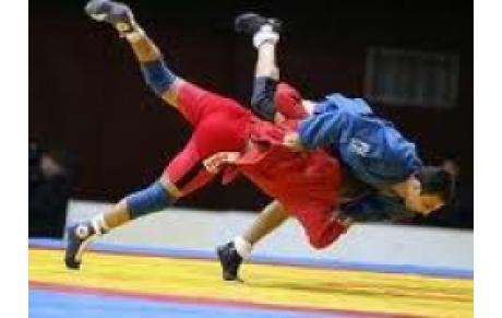 CHAMPIONNAT DE FRANCE DE SAMBO SPORTIF 2012 FFST