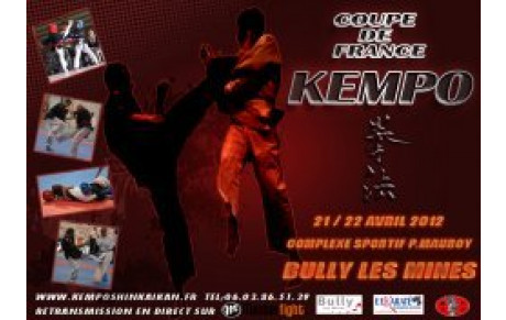COUPE DE FRANCE DE KEMPO FFKDA 2012