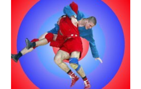 REUNION COMMISSIONS ET PASSAGES DE GRADES FFST