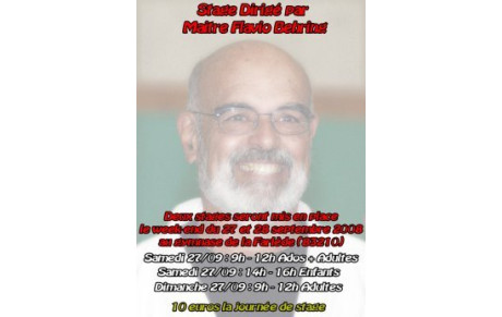 STAGE JJB AVEC MAITRE FLAVIO BEHRING 9EME DAN