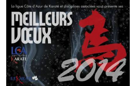 COUPE DE FRANCE ZONE SUD KARATE JUTSU FFKDA