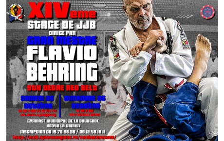 STAGE DIRIGE PAR GRAN MESTRE FLAVIO BEHRING 9EME DAN BJJ