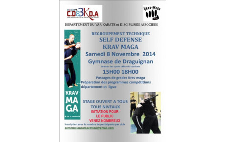 REGROUPEMENT SELF DEFENSE KRAV MAGA FFKDA 