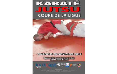 COUPE DE LA LIGUE KARATE JUTSU FFKDA