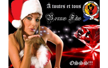 BONNES FETES DE FIN D ANNEE!