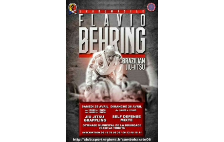 XVIEME STAGE TASK BEHRING JIU-JITSU