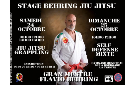 STAGE BEHRING JIU JITSU