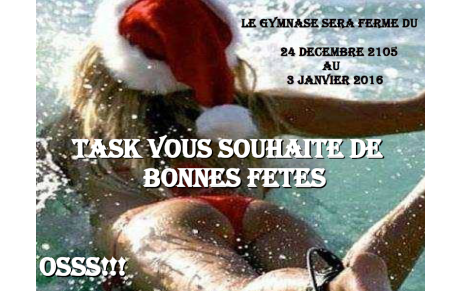 BONNES FETES A TOUTES ET TOUSSS!