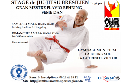STAGE DE JIU-JITSU DIRIGE PAR LE GM FLAVIO BEHRING