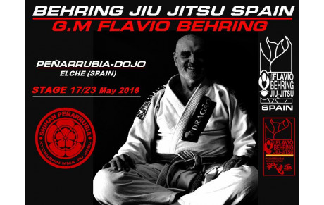 STAGE NATIONAL BEHRING ESPANA 2016