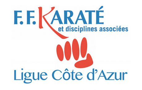 ASSEMBLEE GENERALE ELECTIVE LIGUE FFKDA