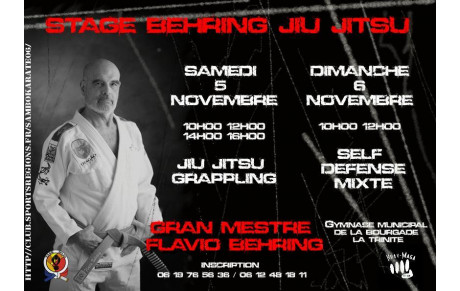 STAGE DE JIU JITSU BRESILIEN DIRIGE PAR LE GRAN MESTRE 