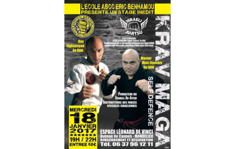 STAGE EXCEPTIONNEL DE KRAV MAGA 