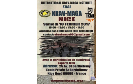 STAGE DE KRAV MAGA IKMI 