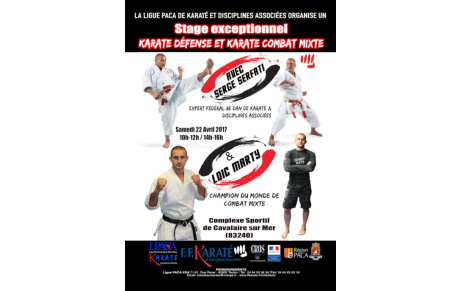 STAGE GRATUIT DE KARATE COMBAT MIX FFKDA