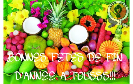 JOYEUSES FETES DE FIN D'ANNEE AUX TASKFRIENDS!