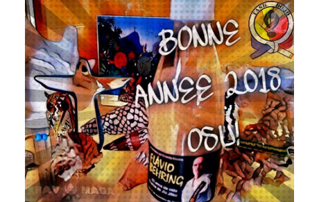 BONNE ANNEE 2018 A TOUSSS!