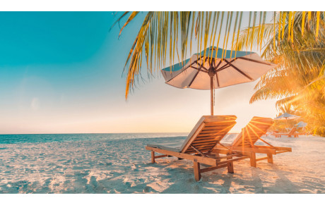 BONNES VACANCES ESTIVALES!