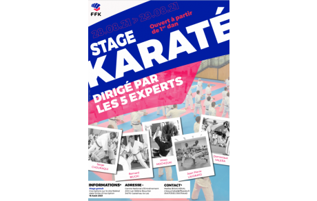 STAGE D'ETE FFK 5 EXPERTS FEDERAUX 