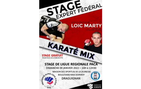 STAGE EXPERT KARATE MIX FFK 2022