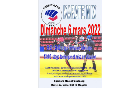 STAGE FORMATION ARBITRAGE ET TECHNIQUE KARATE MIX 