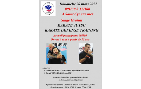 STAGE FFK KARATE JUTSU &amp; KARATE DEFENSE TRAINING