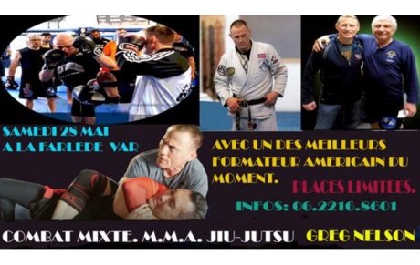 STAGE MMA &amp; JJB ANIME PAR GREG NELSON